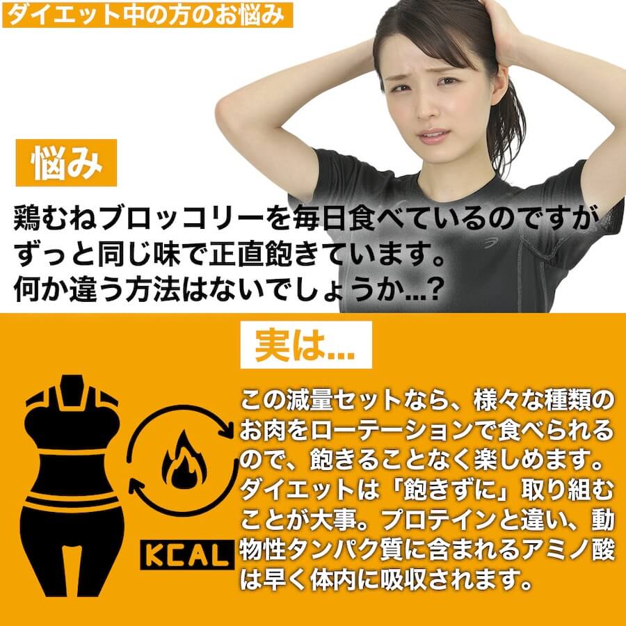 減量お肉セット 2kg