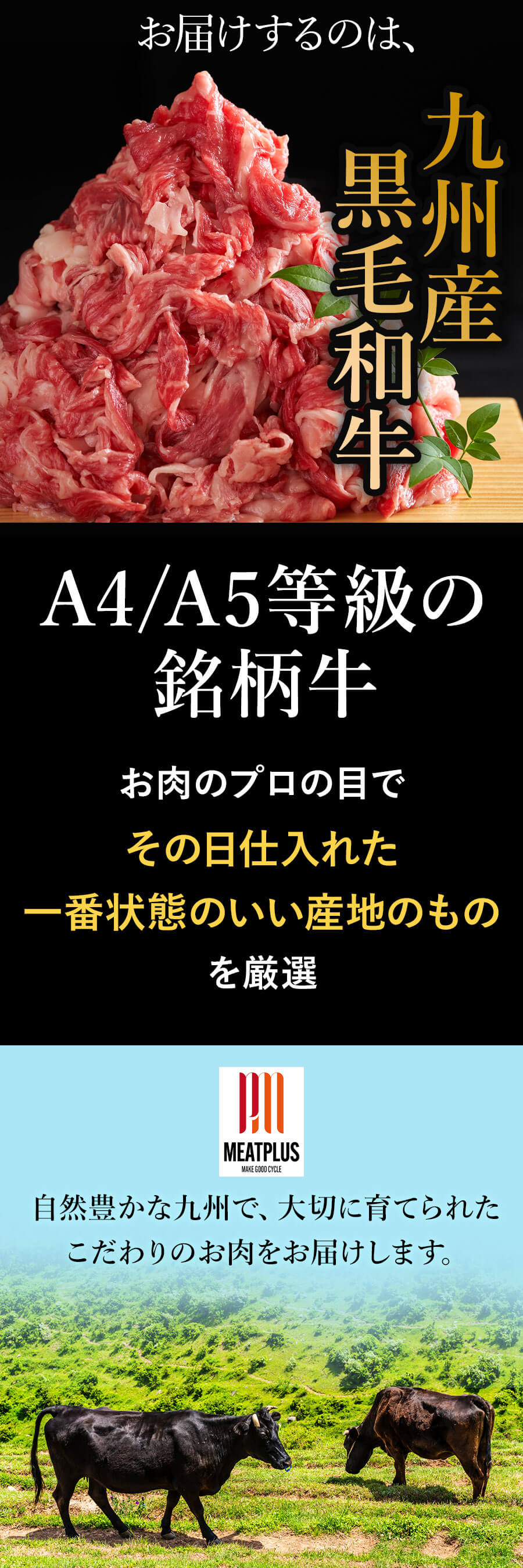 九州産黒毛和牛切り落とし
