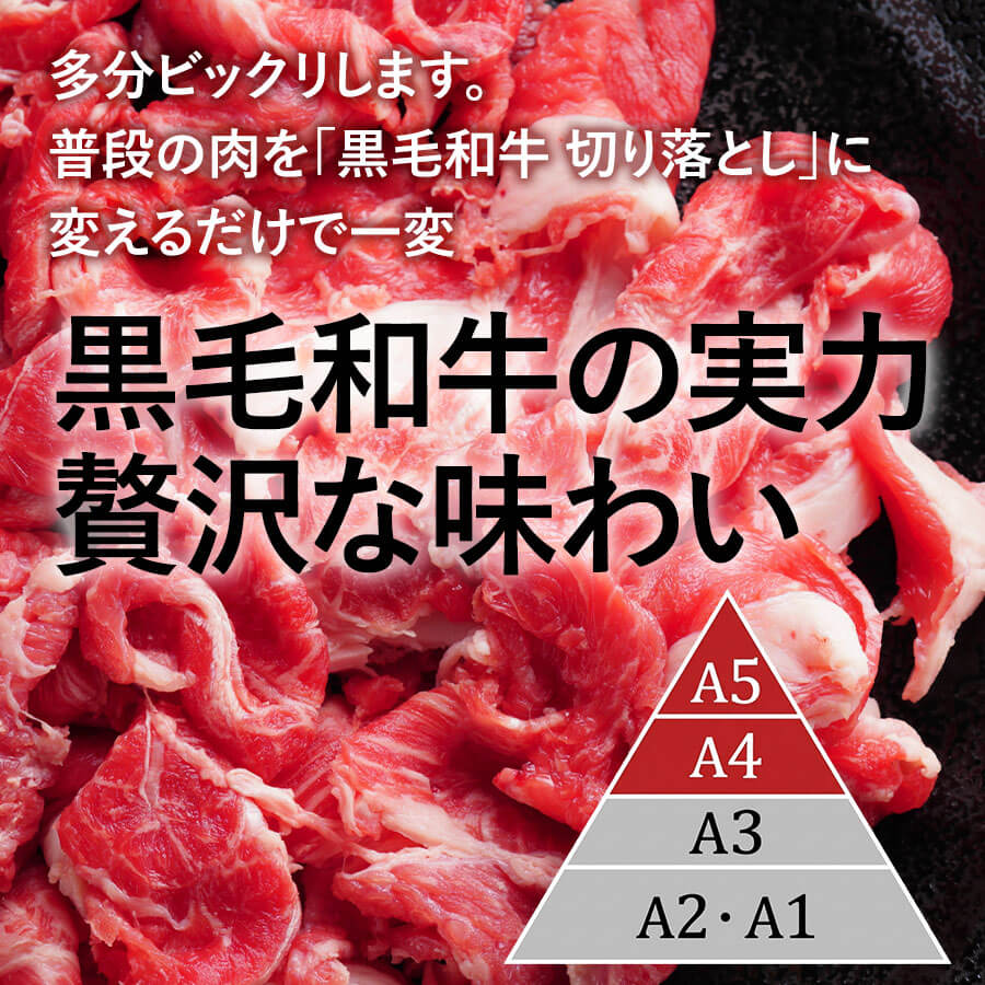 九州産黒毛和牛切り落とし