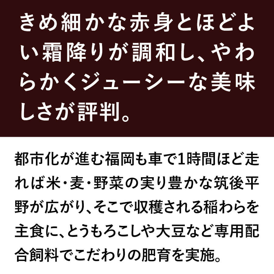 九州産黒毛和牛 赤身モモ焼肉用