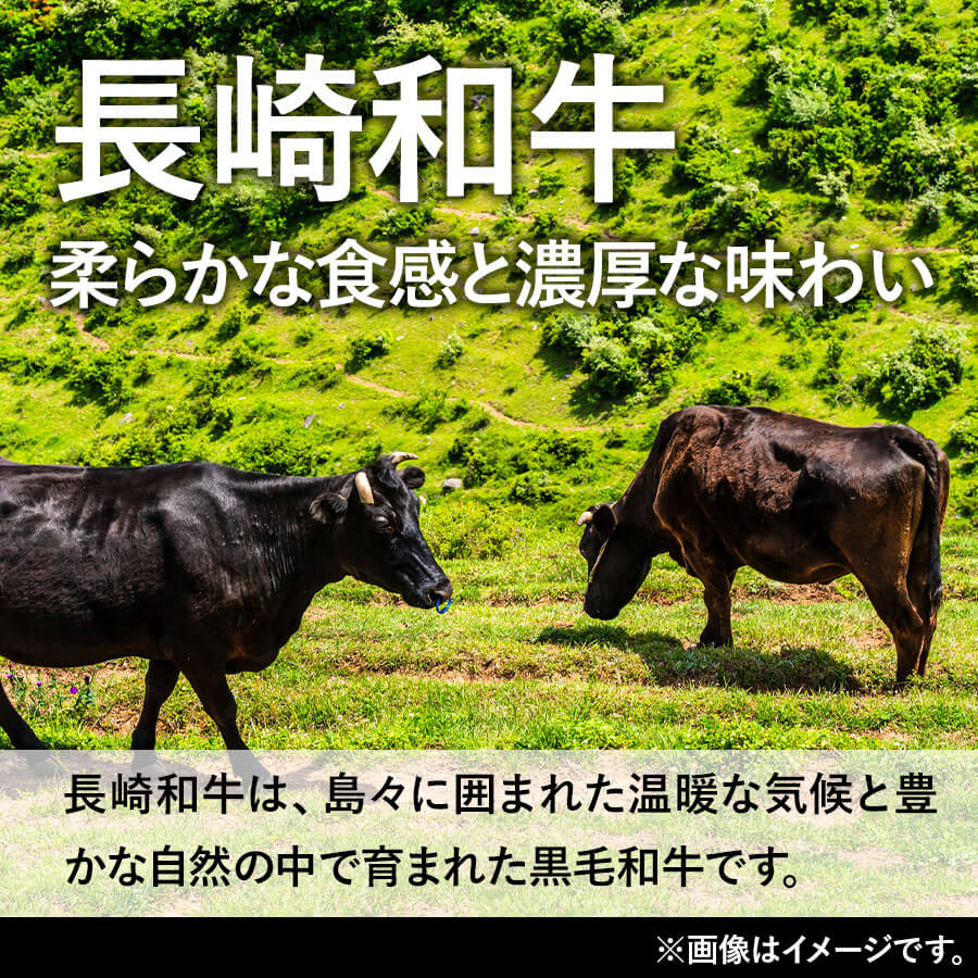 九州産黒毛和牛 赤身モモ焼肉用