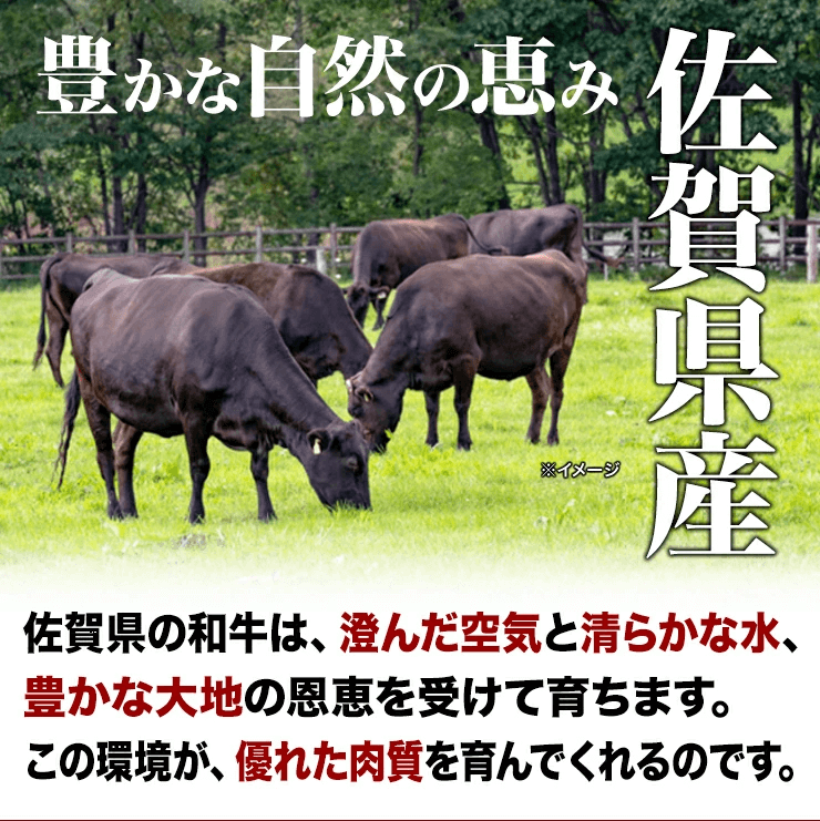 佐賀牛4種詰め合わせ