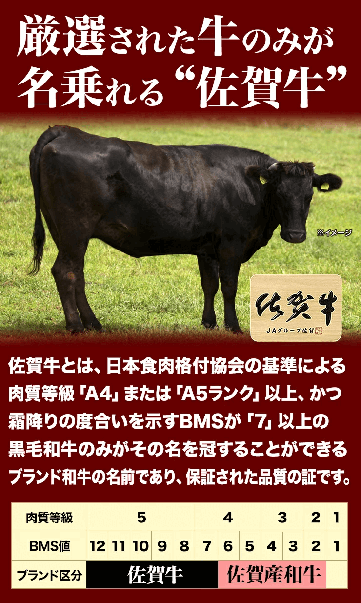 佐賀牛4種詰め合わせ