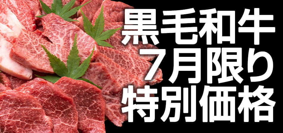 期間限定価格