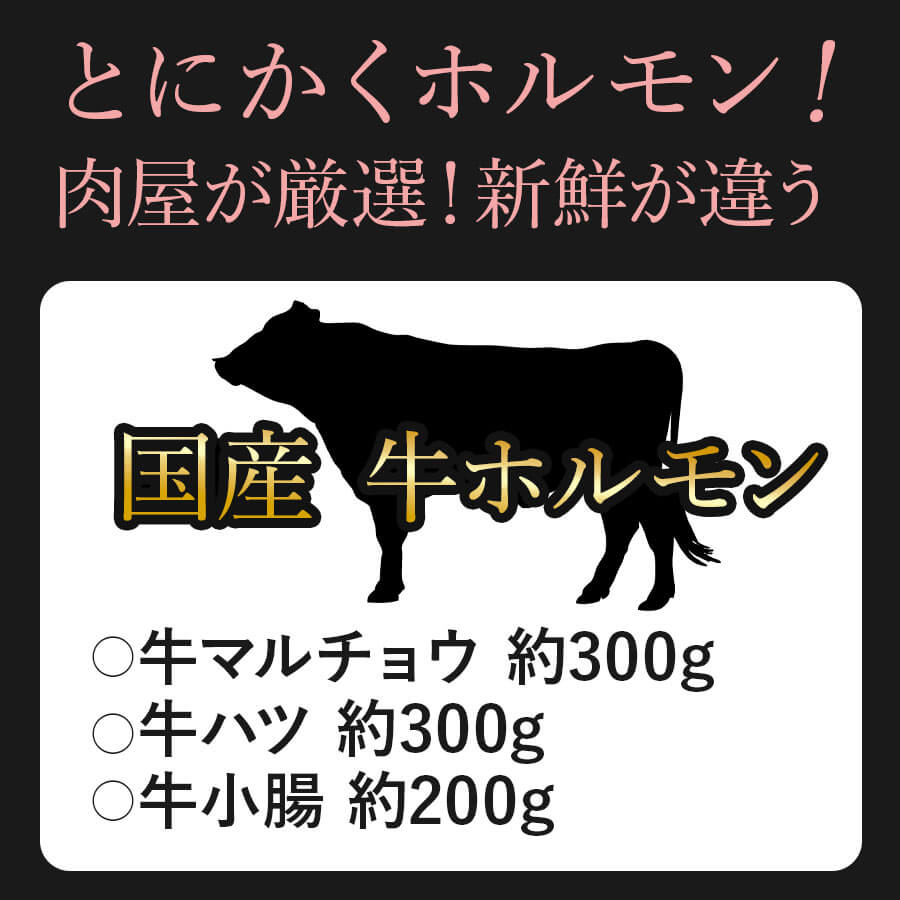 肉盛りDセット