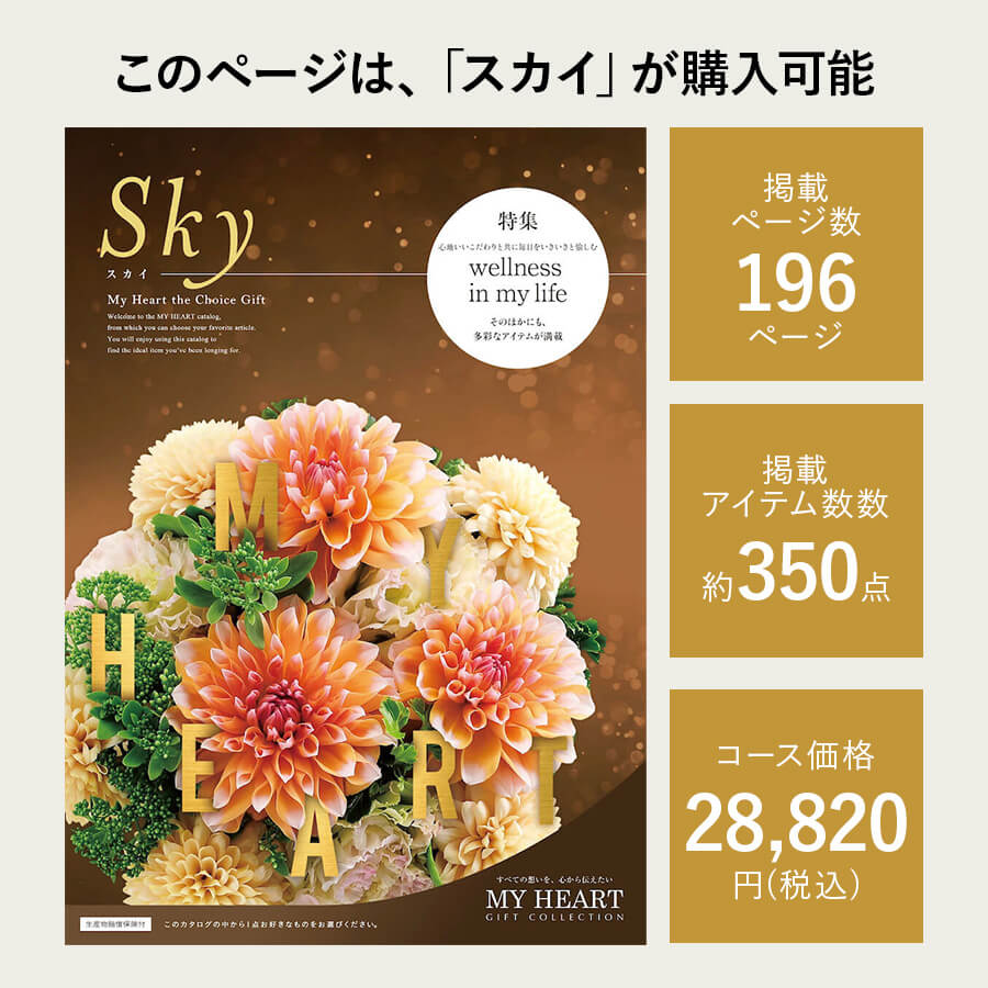スカイ