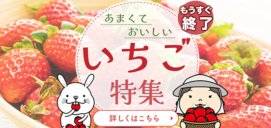 いちご特集