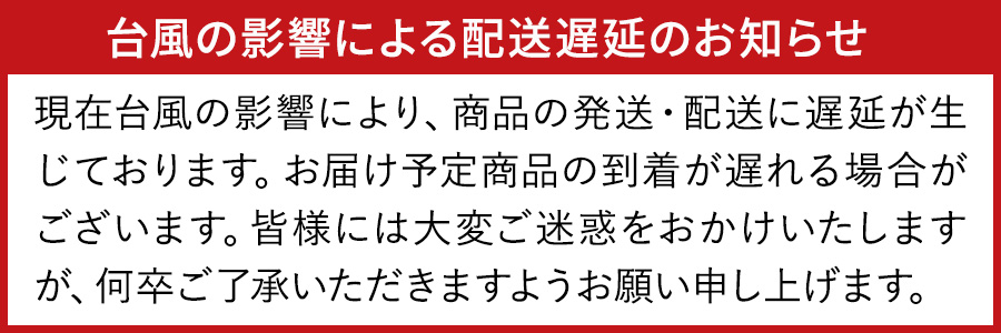 台風の影響での遅延