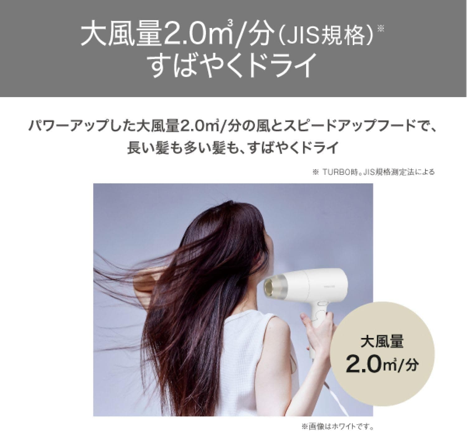 送料無料】テスコム プロテクトイオン ヘアドライヤー 選べる2カラー