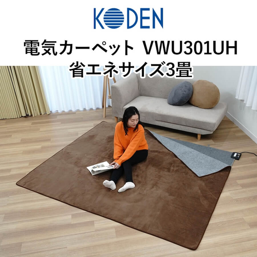 送料無料】【KODEN】広電 電気カーペット ホットカーペット235×176cm 3