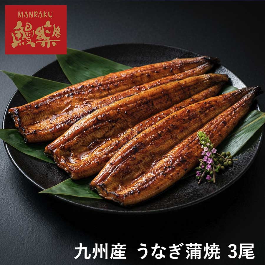 九州産 うなぎ蒲焼 3尾(420g)