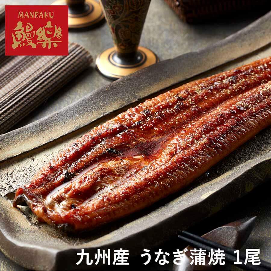 九州産 うなぎ蒲焼 1尾