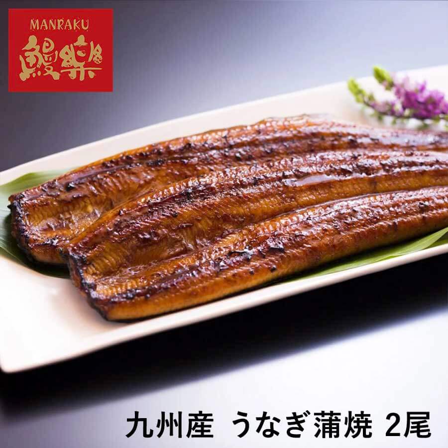 九州産 うなぎ蒲焼 2尾(280g)